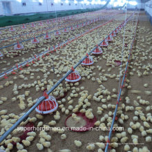 Alimentador de aves de corral automático para pollo de engorde